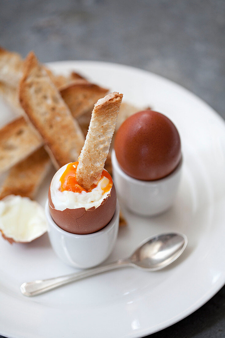 Hard boiled eggs with soldiers