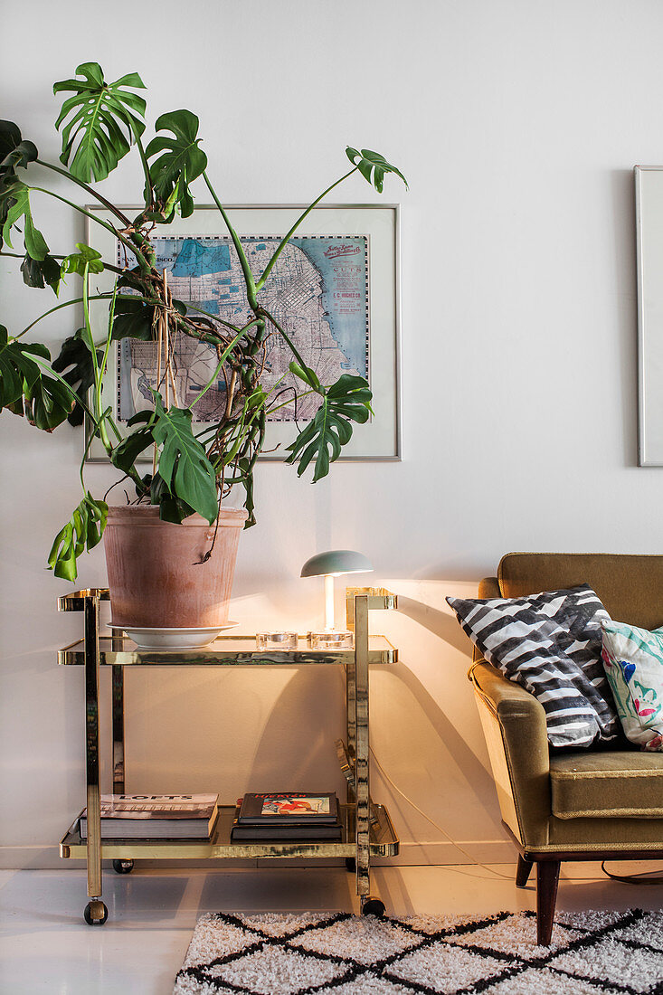 Swiss-cheese plant on gold serving trolley next to sofa