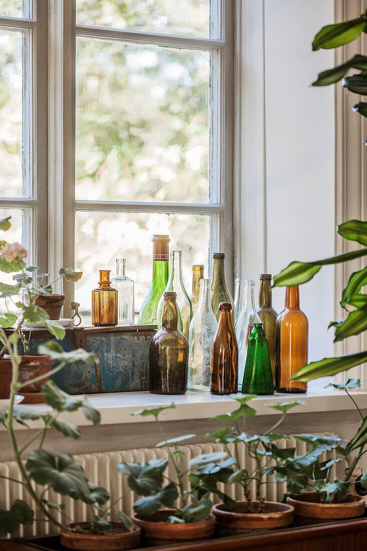 Vintage Flaschensammlung auf Fensterbank, davor Pflanzentisch