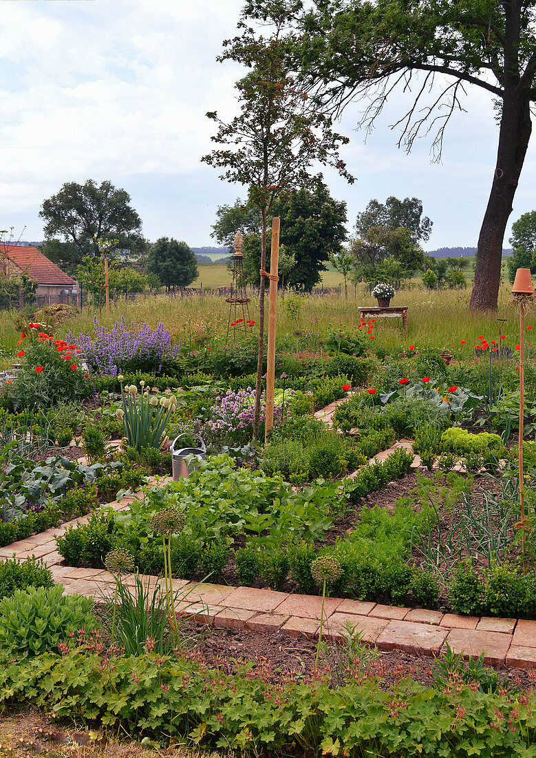 Farm Garden In Early Summer With Vegetables And Perennials
