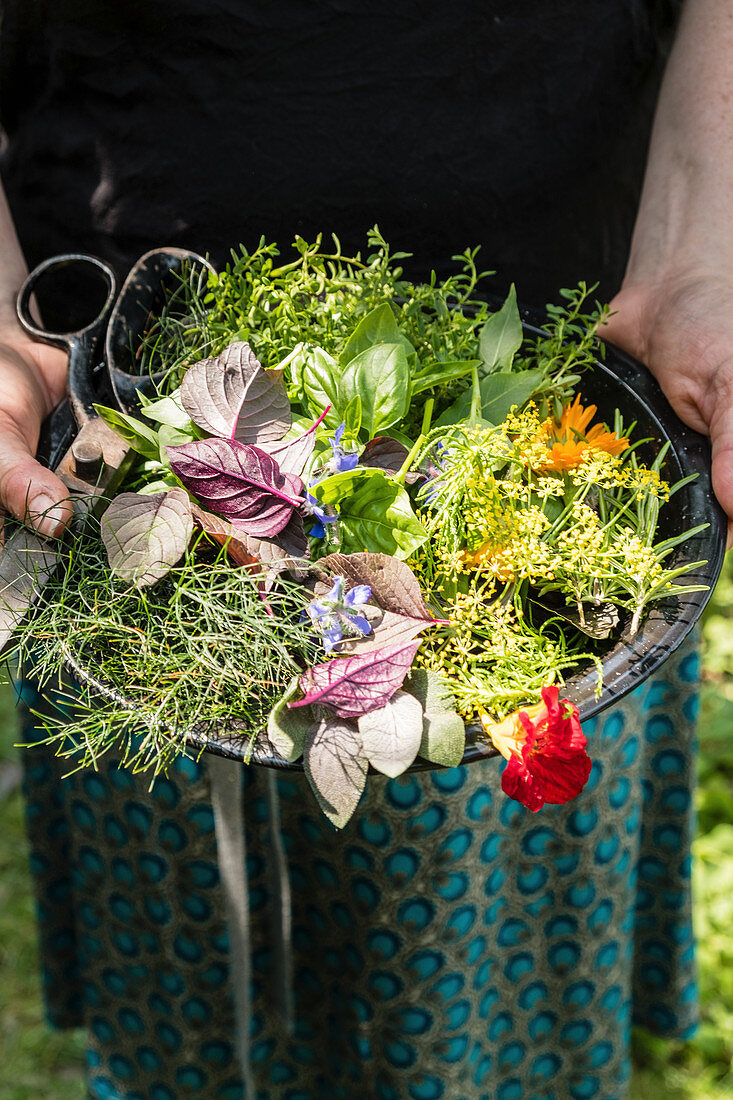 A woman holding a plate of freshly harvested herbs and flowers