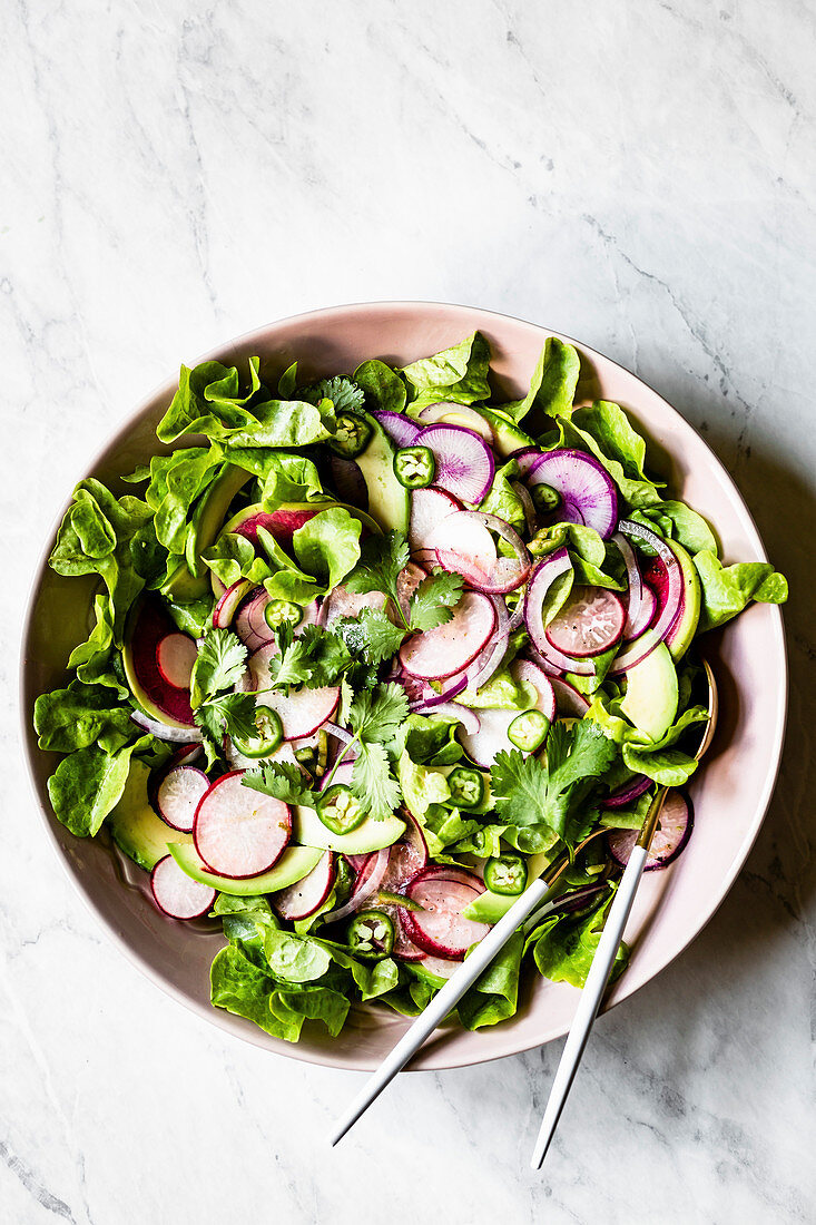 Blattsalat mit Radieschen, Avocado und Chili (Aufsicht)