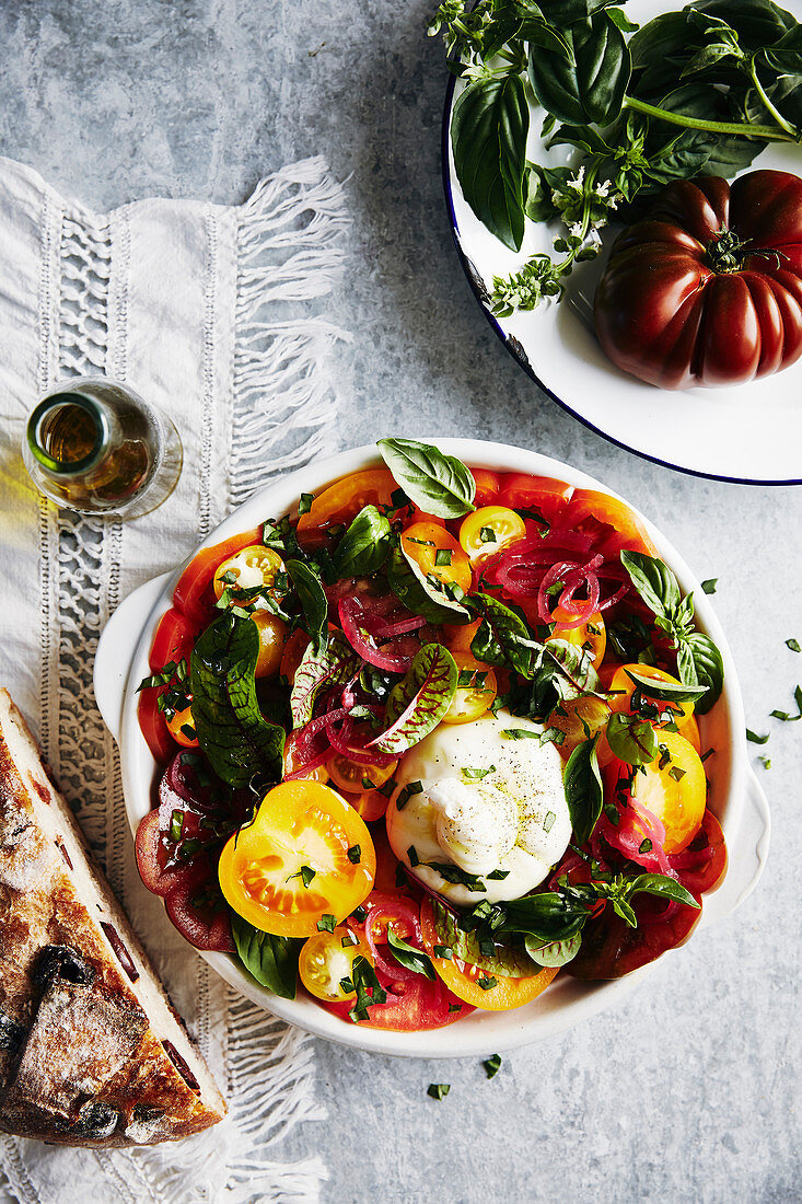 Salald of heirloom tomatoes in different colours, lightly picked red onion, herbs, greens, olive oil, burrata cheese