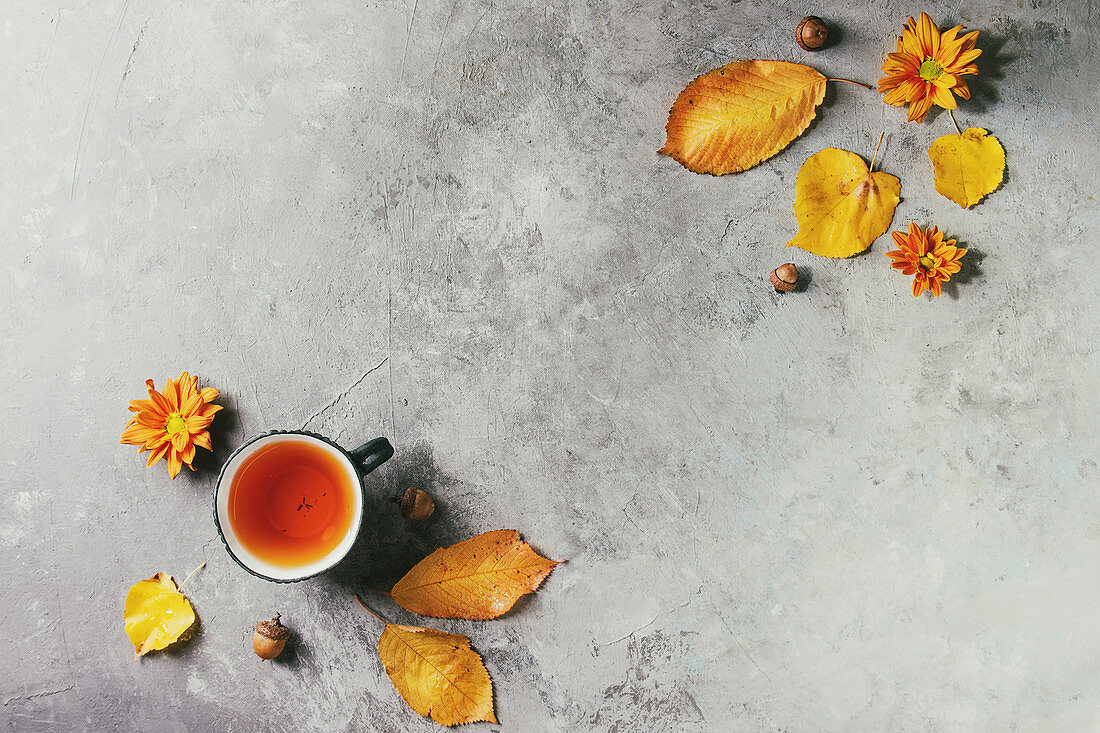 Cup of hot tea decorated by yellow autumn leaves, aster flowers and acorns over grey texture background