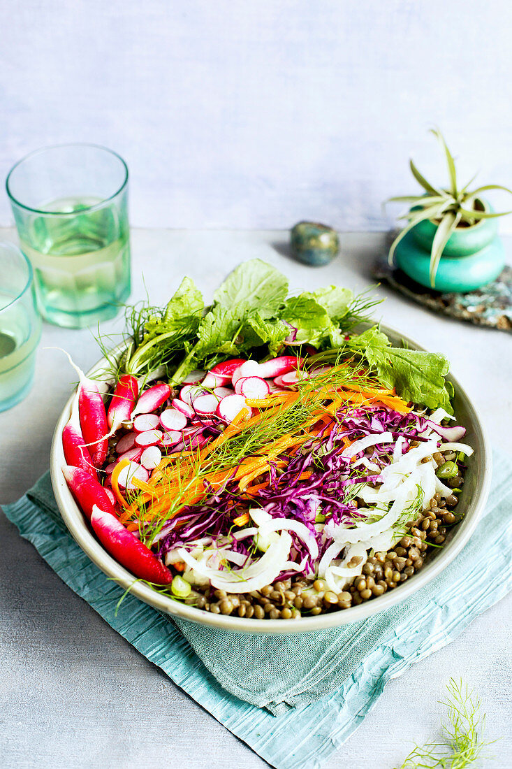 Salad bowl with green lentils, radishes, red cabbage and carrots