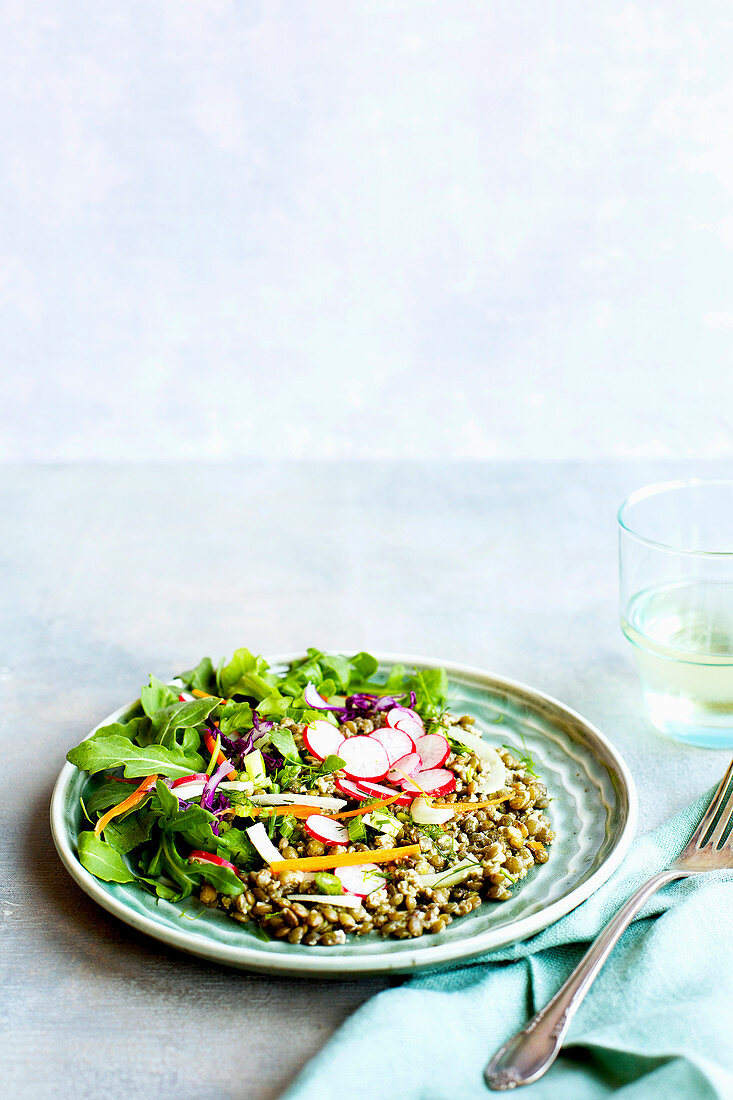 Salad with green lentils, radishes and red cabbage
