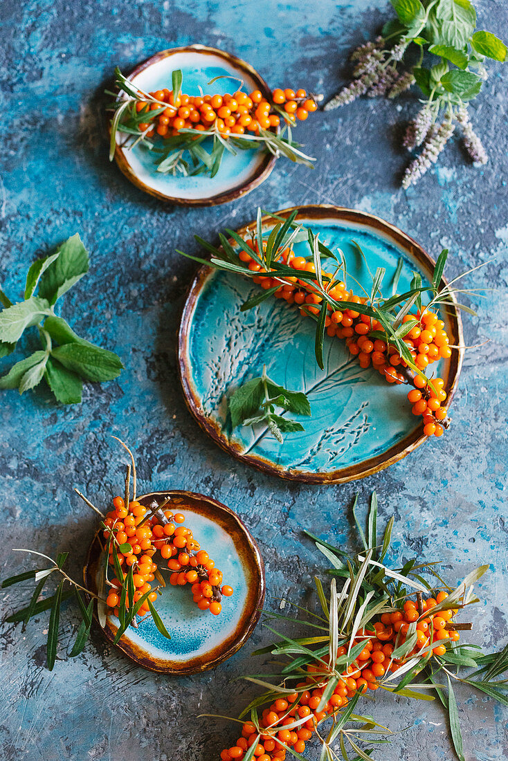 Twig sea buckthorn berries