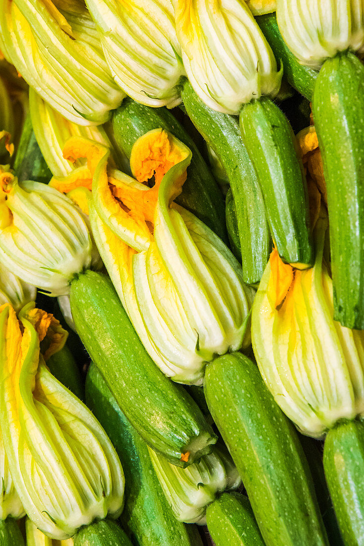 Courgettes with flowers