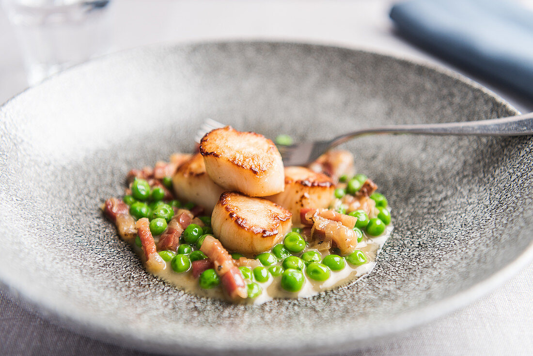 Fried scallops on a bed of peas with bacon