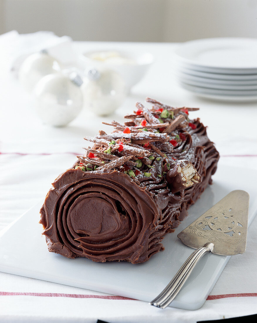 Chocolate christmas log