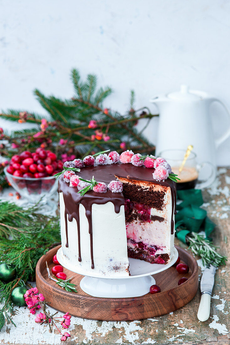 Christmas cake with cranberries, cranberry cheesecake layer, creamcheese and chocolate