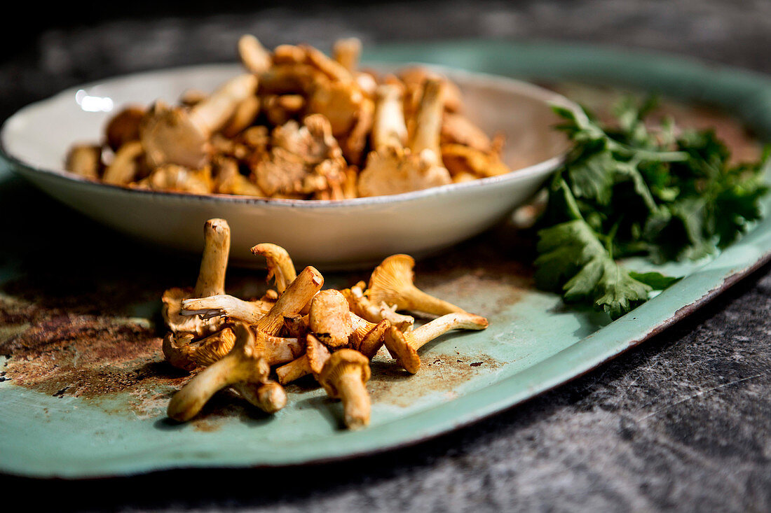 Fresh chanterelle mushrooms in a bowl and on a tray