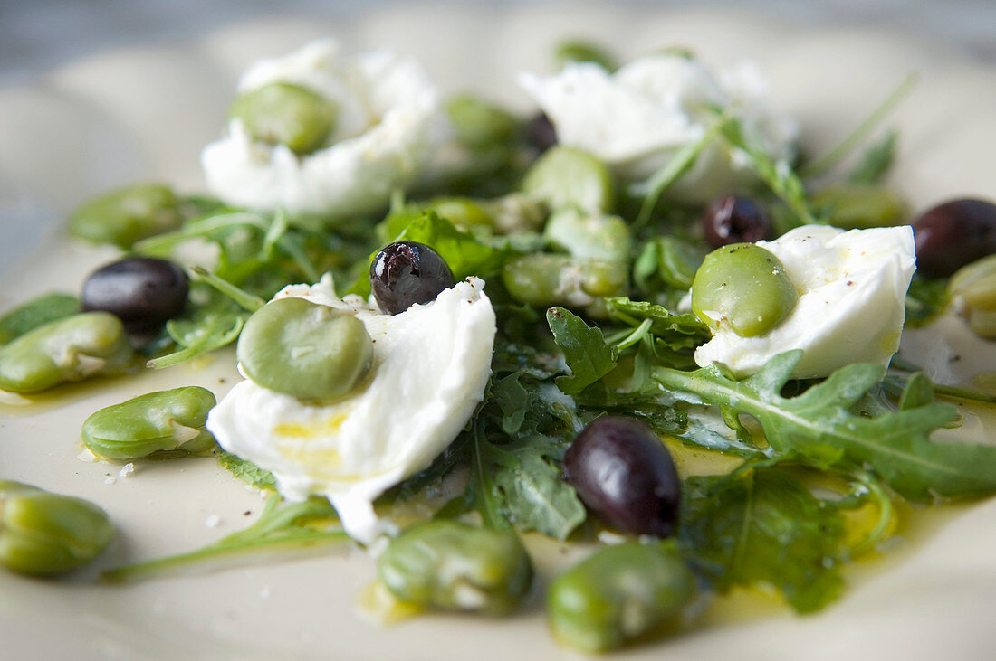 Broad beans with buffalo mozzarella, rocket, olives and mint (close-up)