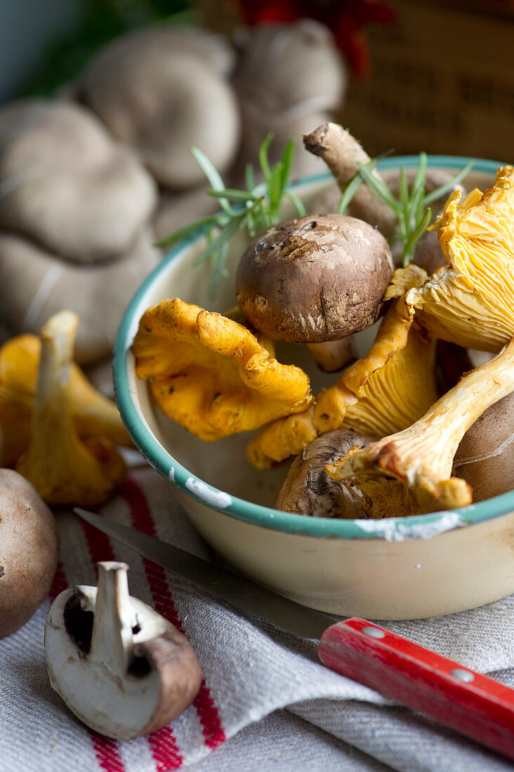 Various fresh wild mushrooms in a ceramic bowl