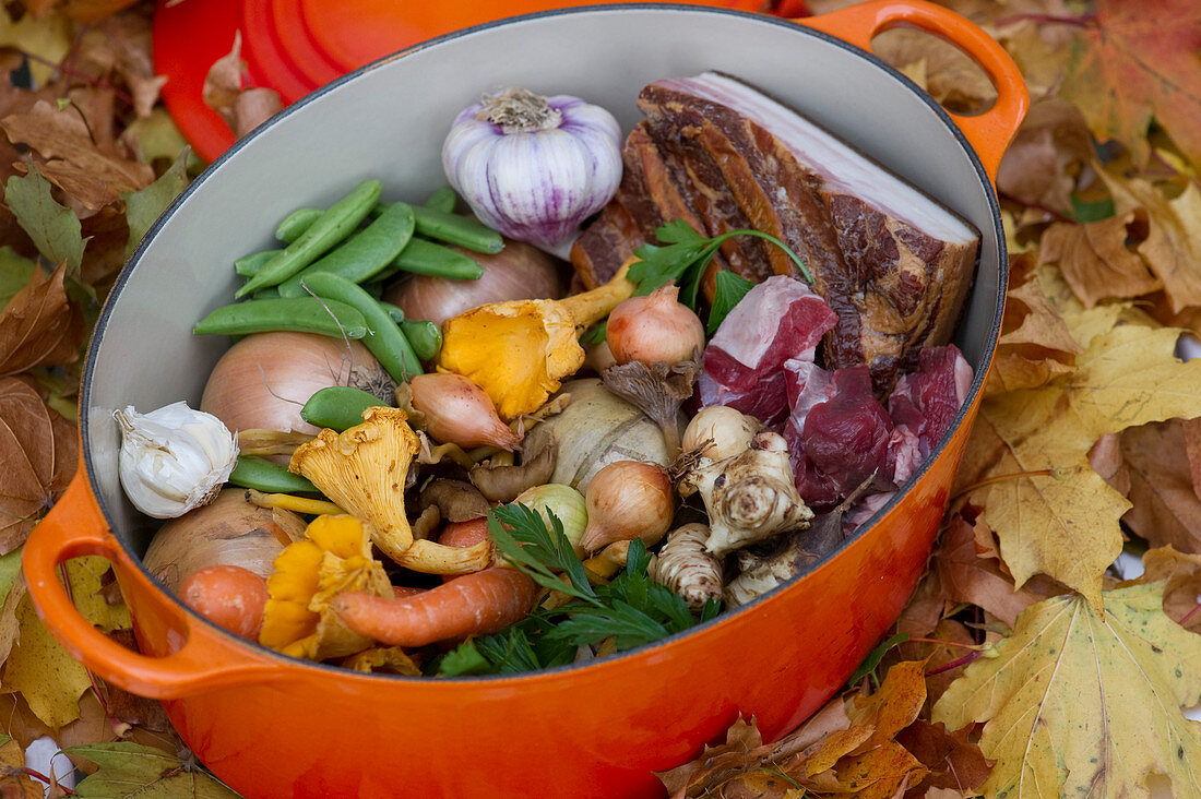 Ingredients for an autumnal lamb stew with Burgundy, root vegetables and mushrooms