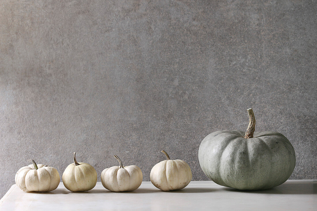 Grey Confection and white whole uncooked decorative pumpkins in row on white marble table with grey wall