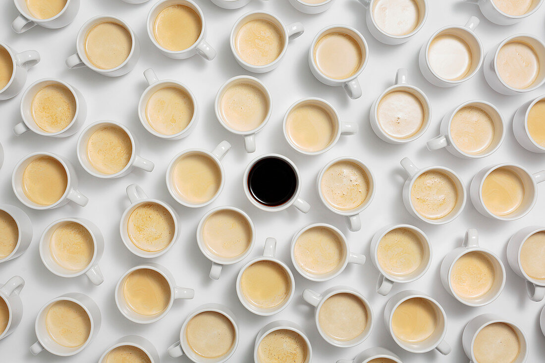 Viele Tassen Kaffee mit Milch, dazwischen eine Tasse schwarzer Kaffee (bildfüllend)