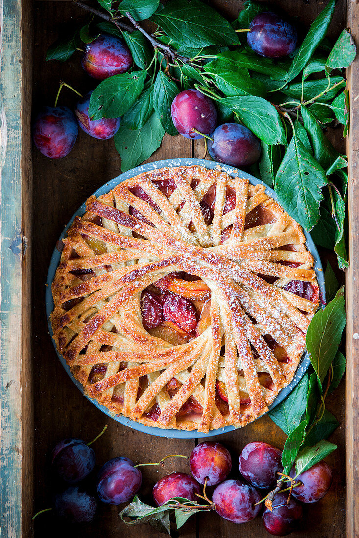 Plum pie with spiral design crust