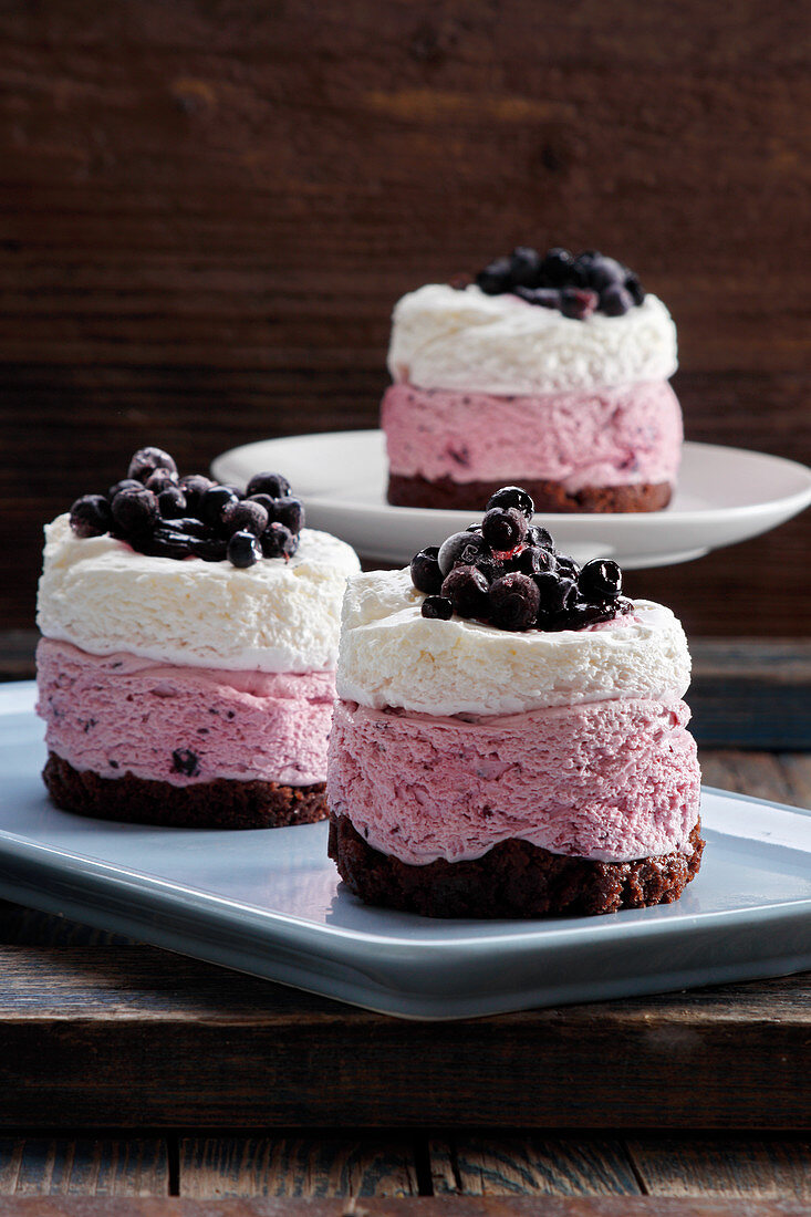 Mini cream and chocolate cake with blueberry