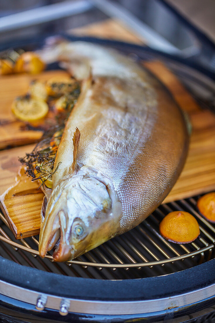 Smoked fjord trout on a grill