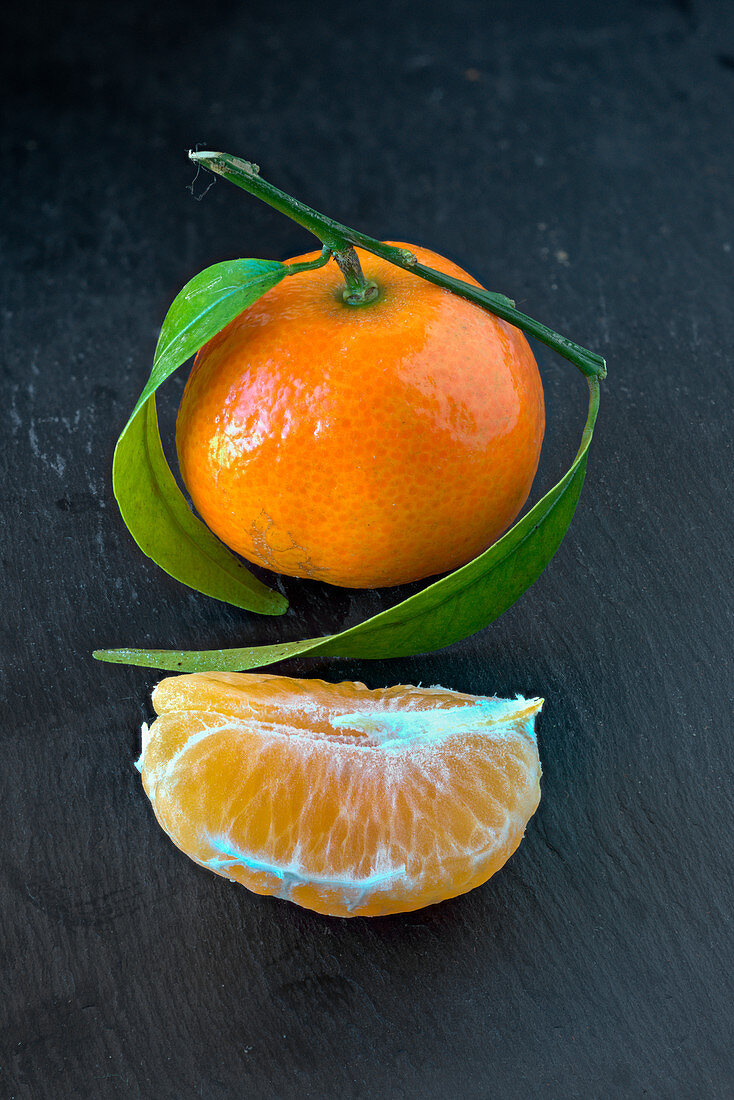 Mandarins on a slate platter