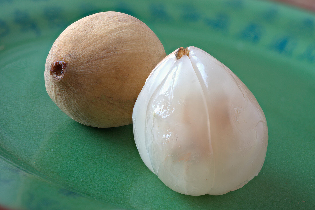 Zwei Duku-Früchte (auch Langsatfrüchte), mit und ohne Schale