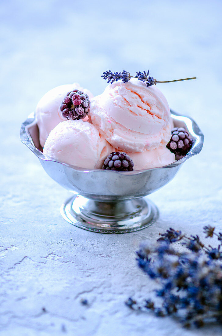 Rosa Eiskugeln in Eisschale mit Brombeeren und Lavendel