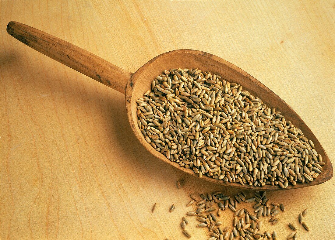 A Wooden Scoop Full of Rye Grains