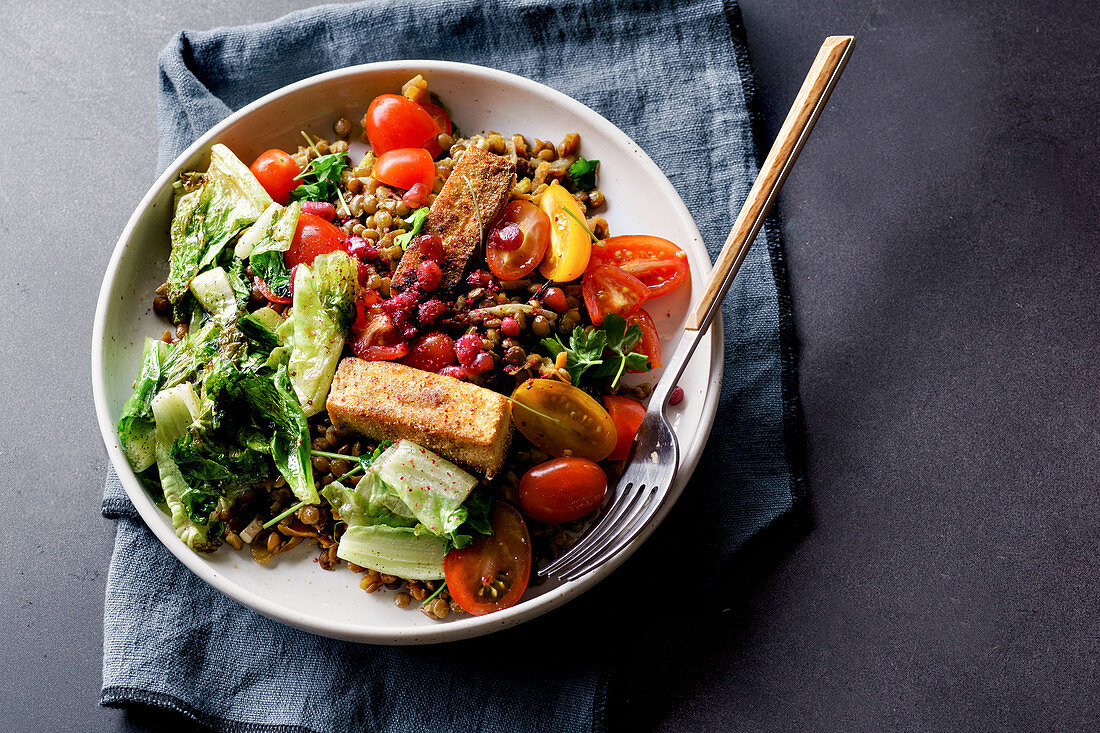 Vegetarian lentil salad with fried cheese, greens and fresh vegeables