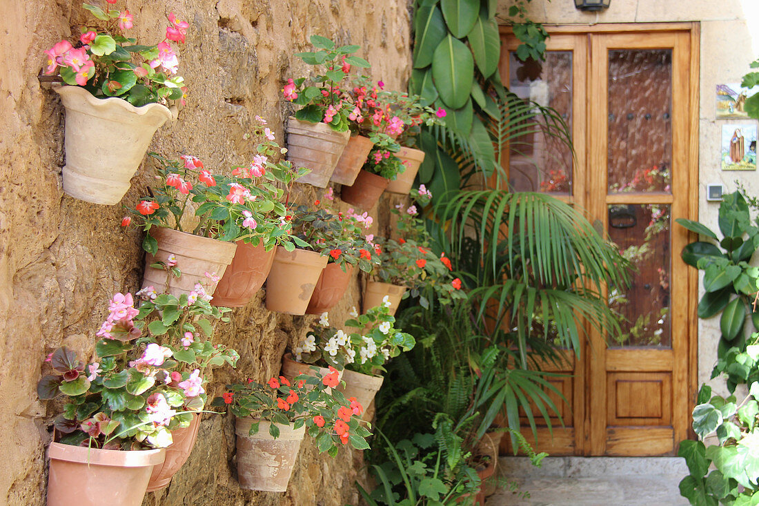 Wall pots with ice begonias and industrious Lieschen