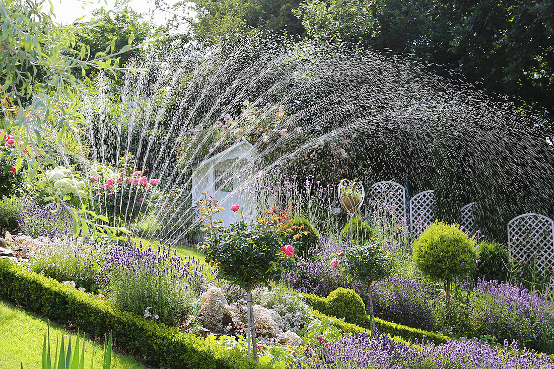 Irrigating garden with lawn sprinkler