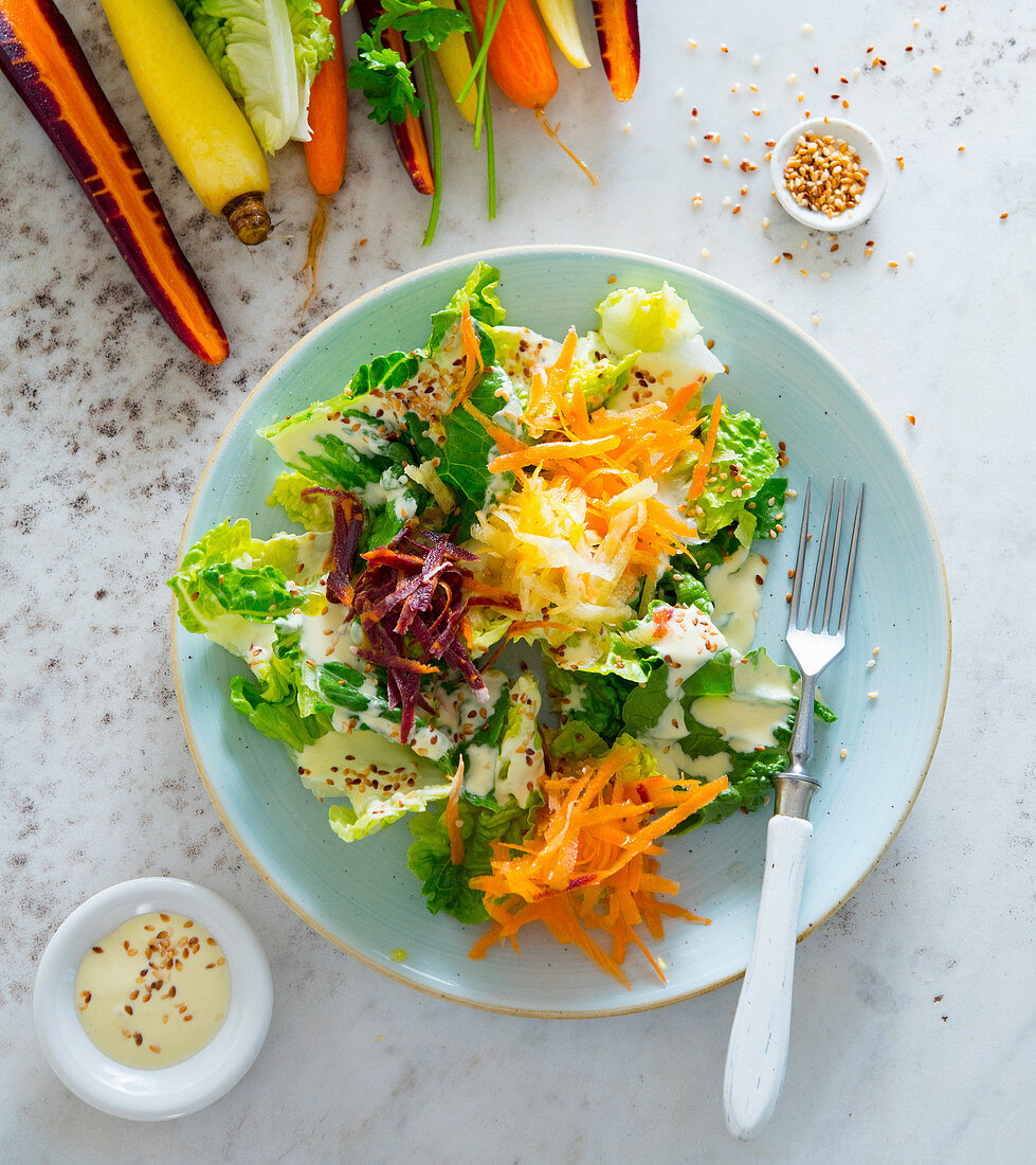 Raw vegetable salad with colourful carrots