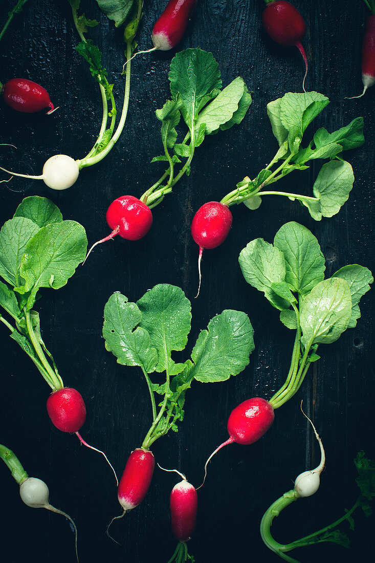 Frische Radieschen mit Grün