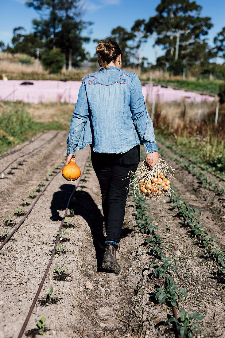 Autumn harvest