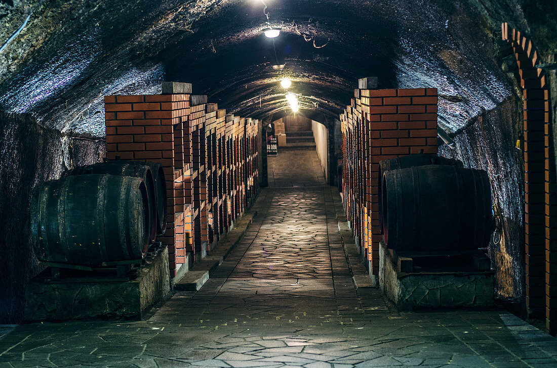 Wine cellar with wooden barrels and brick shelves for storing wine