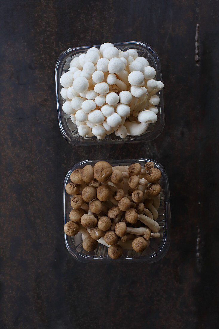 White and brown shimeji mushrooms