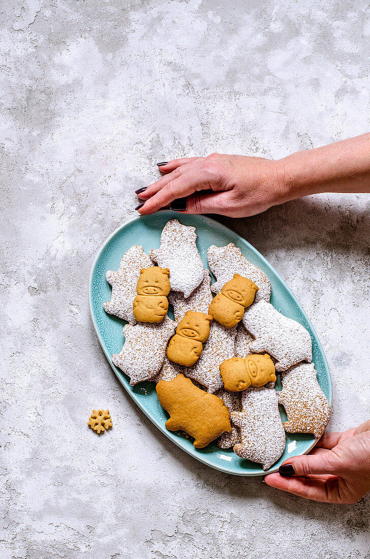 Lebkuchenschweinchen mit Puderzucker als Glücksbringer