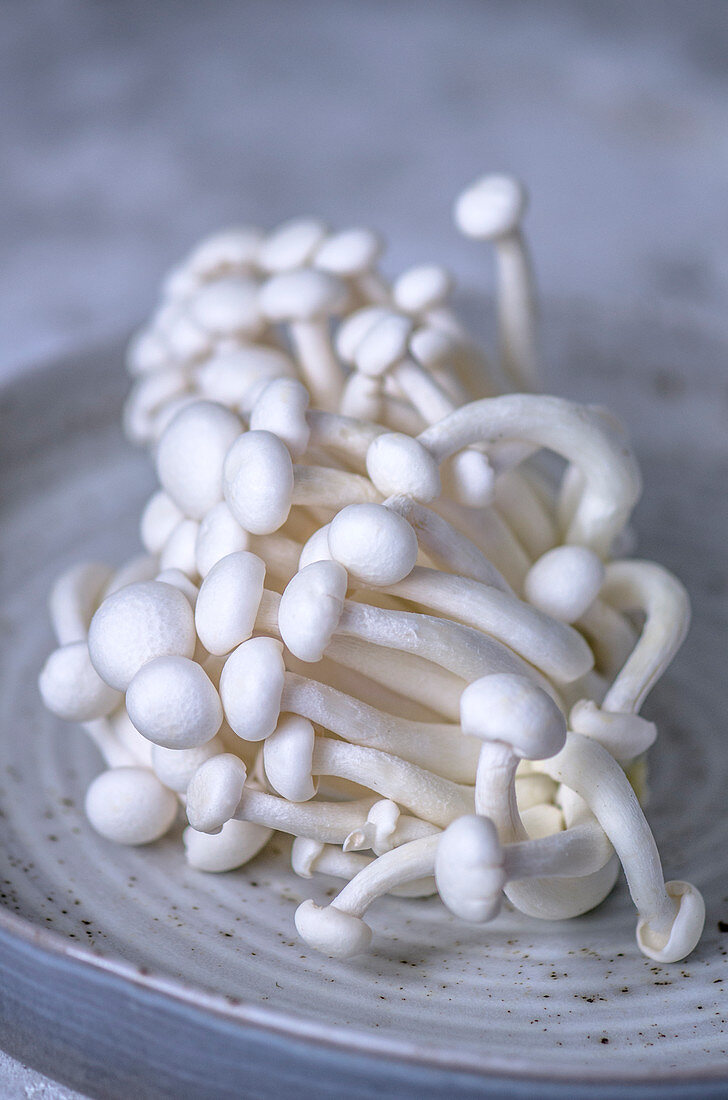 Frische Enoki-Pilze auf Keramikteller