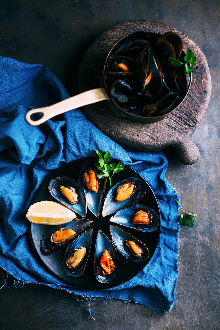 Cooked mussels in a saucepan and arranged decoratively on a plate (seen from above)