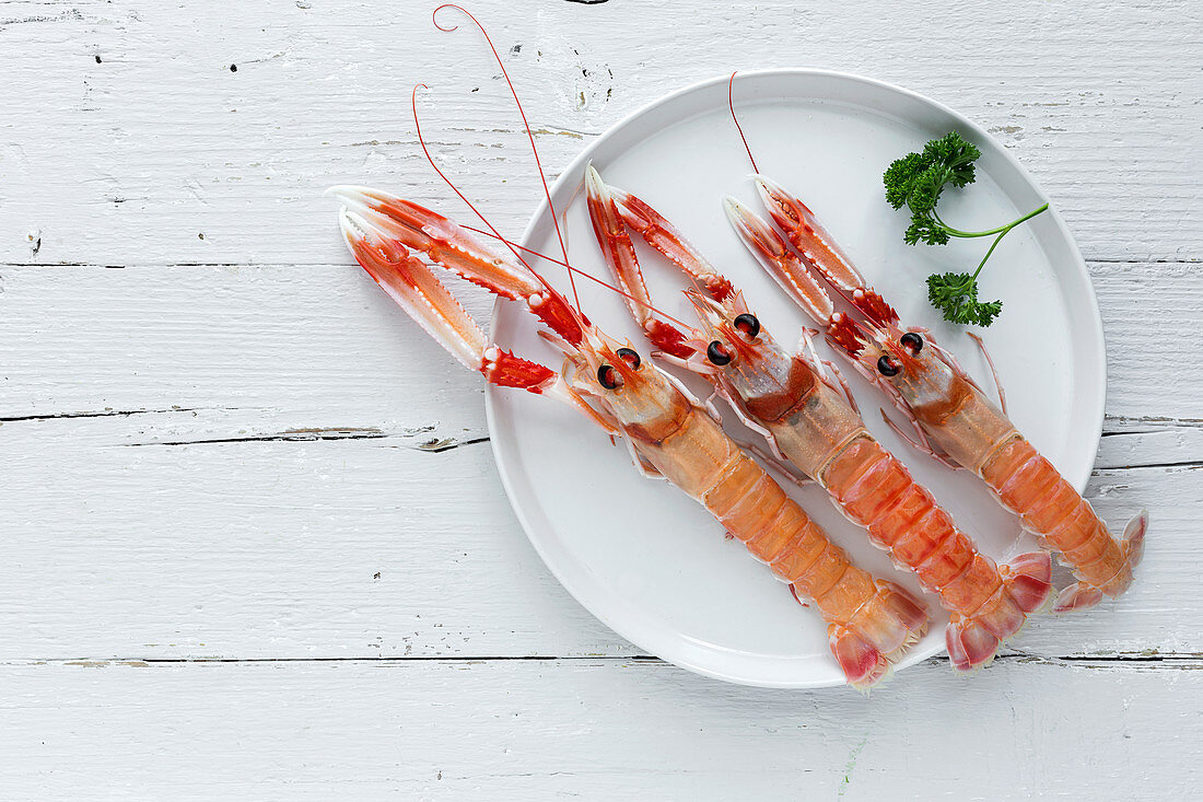 Three fresh shrimps lying on plate near sprig of parsley on white timber tabletop