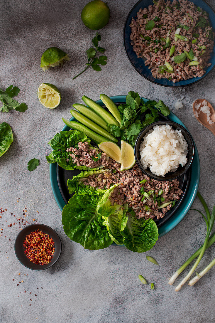 Vietnamesischer Hackfleischsalat serviert mit Reis
