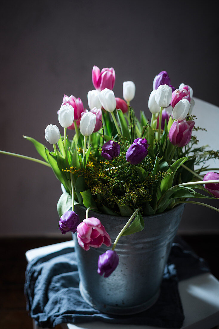 Fresh tulips in metal bucket on wooden chair