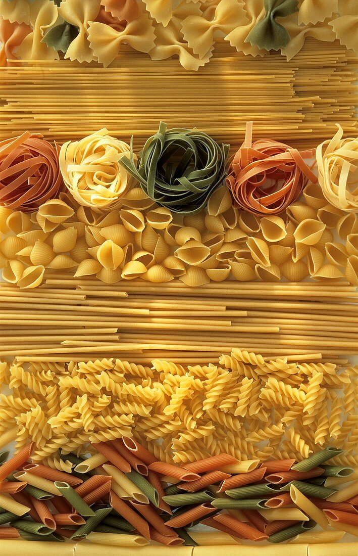 Assorted Pasta Still Life