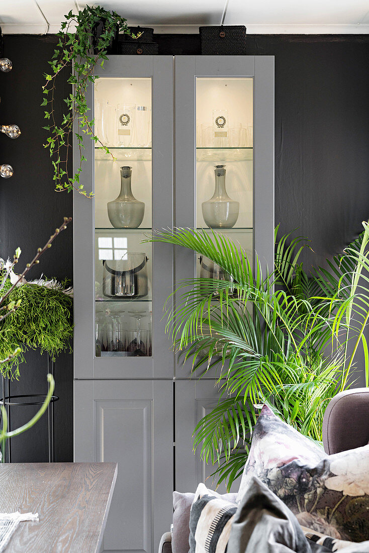 Illuminated display case and houseplants against grey wall