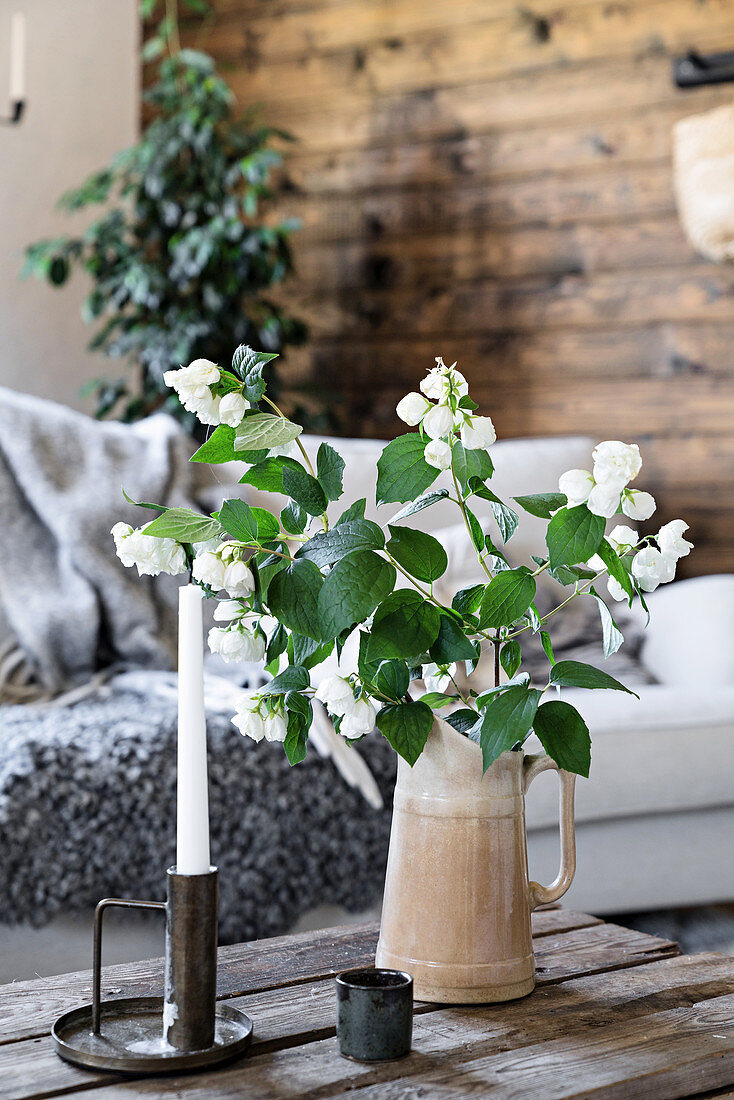 Bouquet of mock orange in jug on rustic coffee table