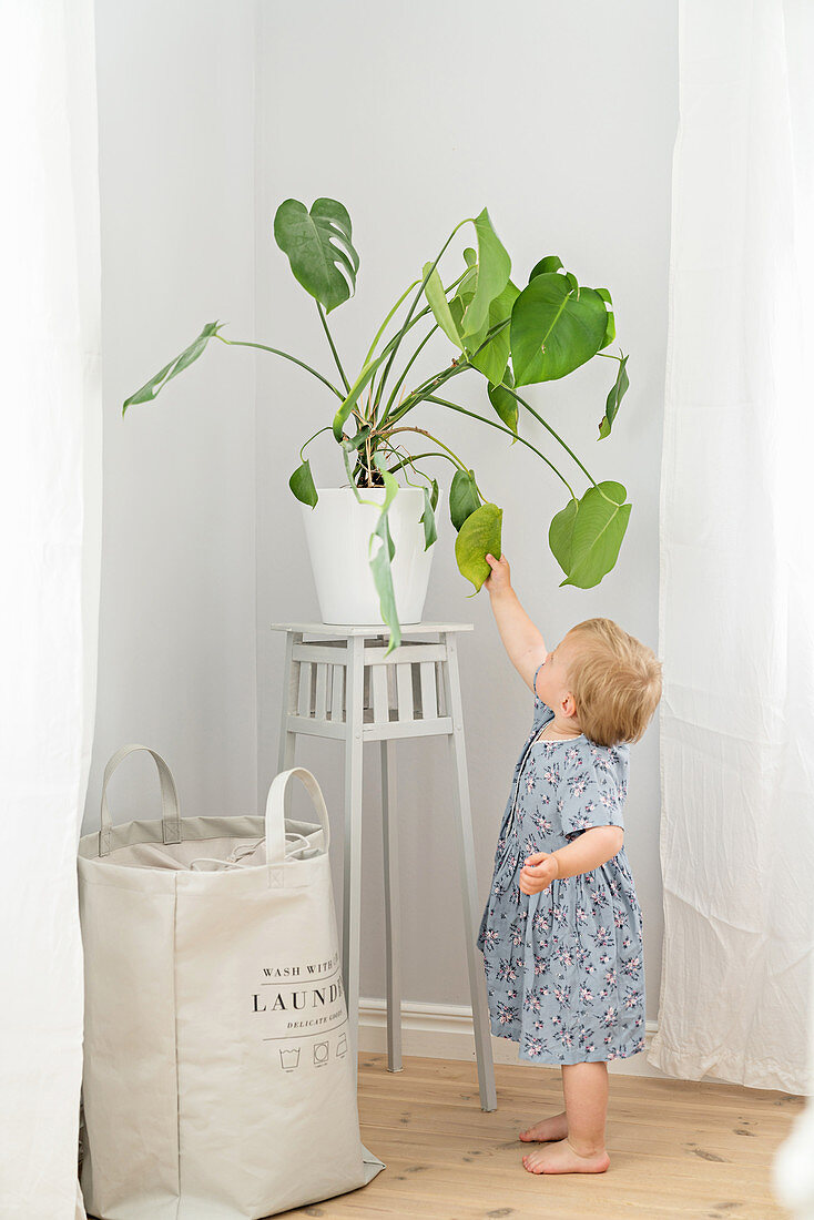 Little girl next to houseplant