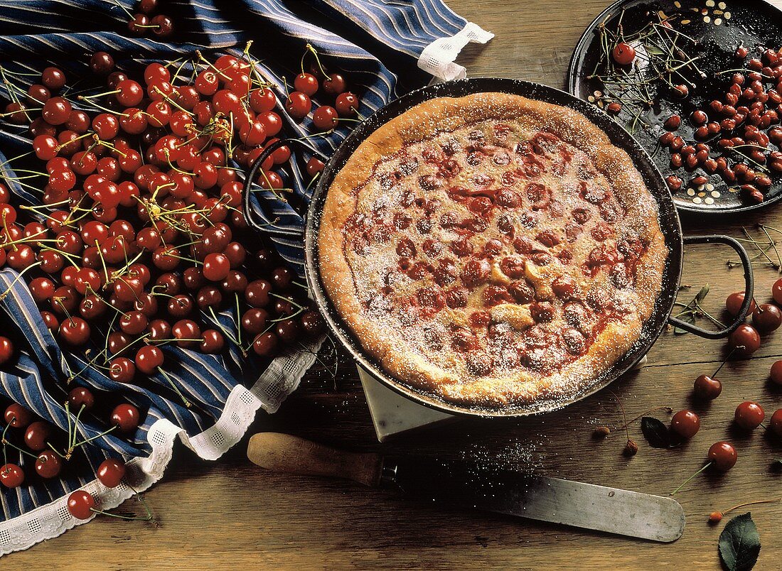 Cherry tart with Morello cherries
