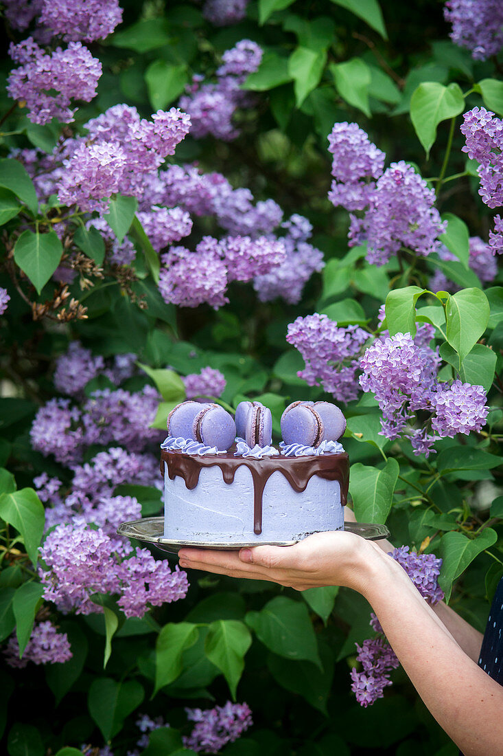 Lila Buttercreme-Schokoladen-Kuchen mit Macarons vor Fliederstrauch im Garten