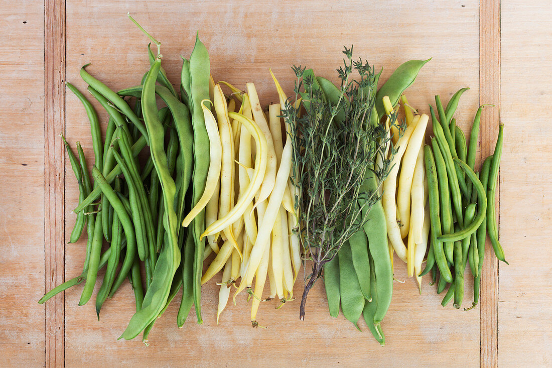 Various types of beans with herbs