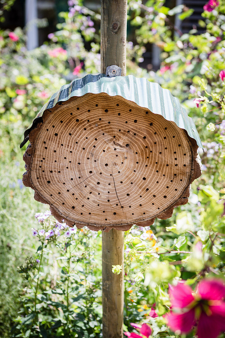 DIY insect hotel with metal roof